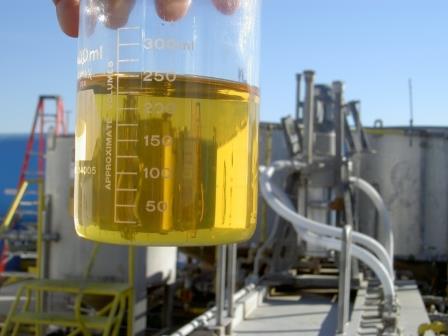 Read more about the article ACCI sweet sorghum varieties poised to boost biofuel industry