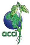 ACCI Logo